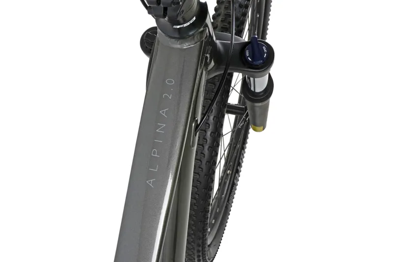 Claud Butler Alpina 2.0 29/-4