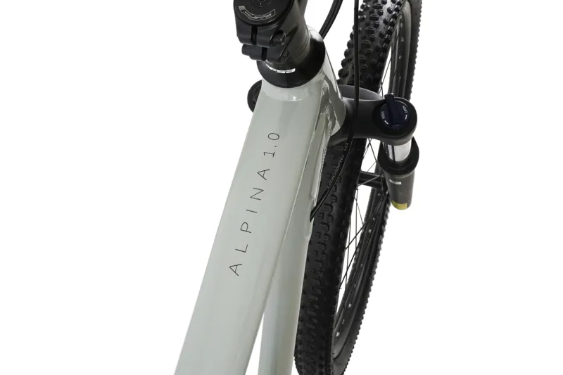 Claud Butler Alpina 1.0 29er-2