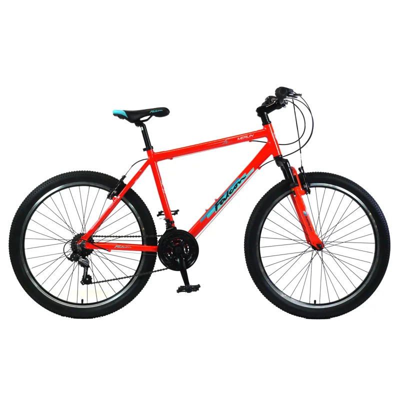 Falcon Merlin G19 Mountain Bike in Orange/Blue